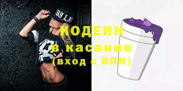 ешки Инта
