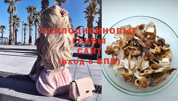 прущая мука Инсар