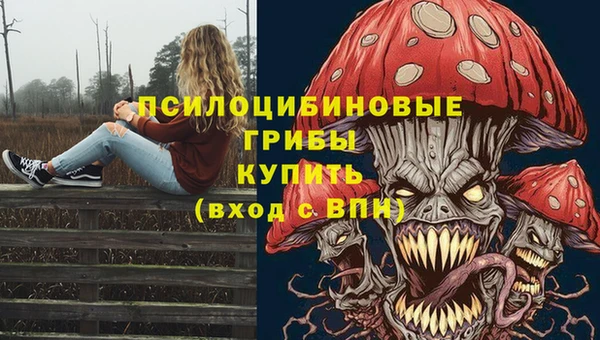 ешки Инта
