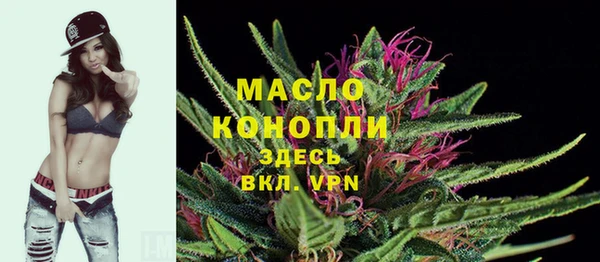ешки Инта