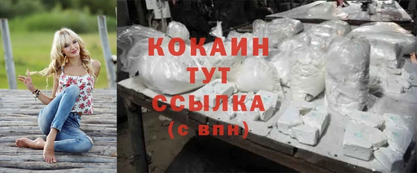 ешки Инта