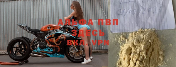 PSILOCYBIN Зерноград