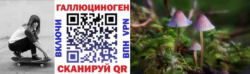 mega ССЫЛКА  магазин продажи   Качканар  Псилоцибиновые грибы MAGIC MUSHROOMS 
